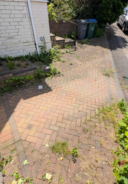 Walkway pavers before cleaning