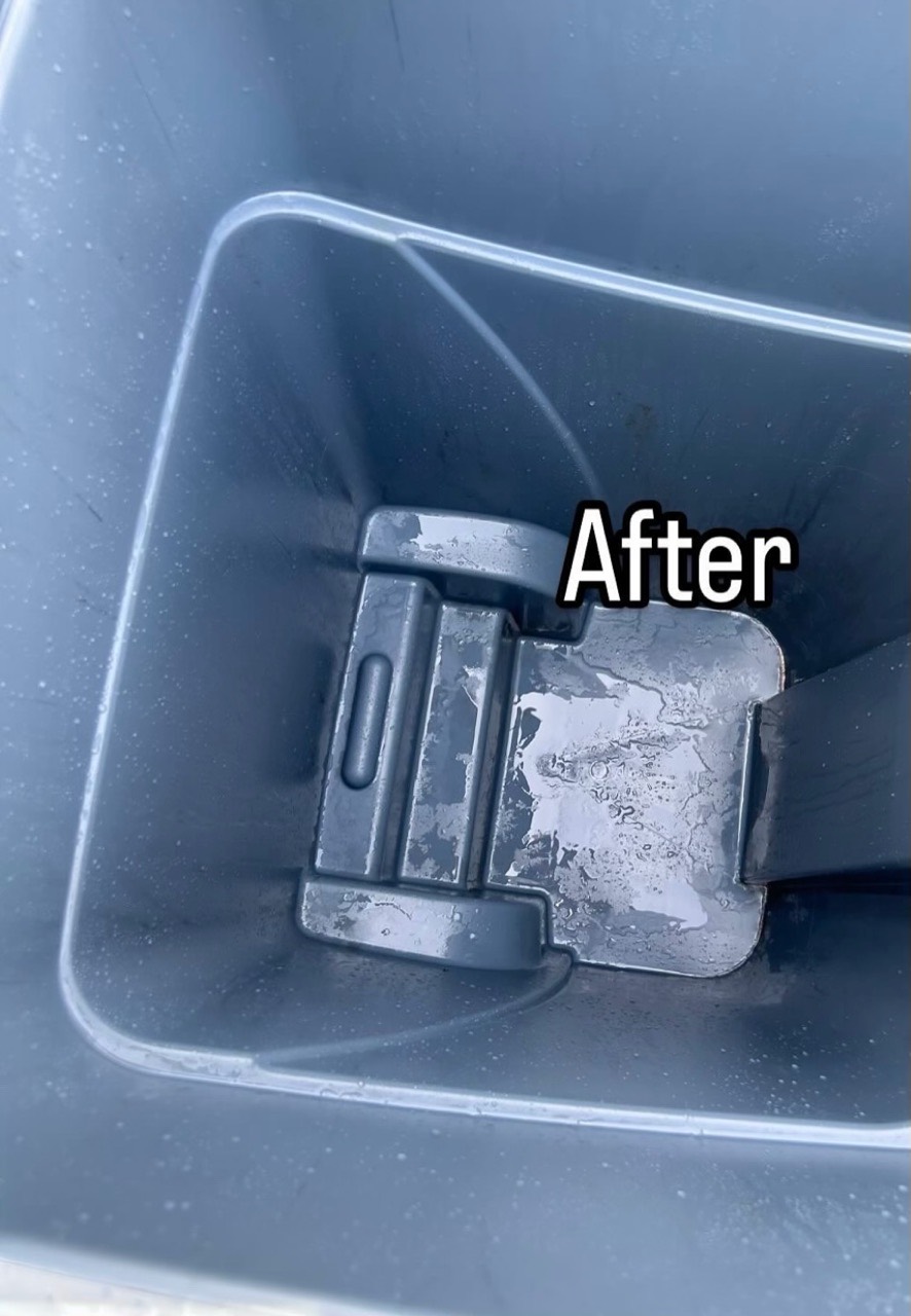 Outdoor trash bin after professional cleaning