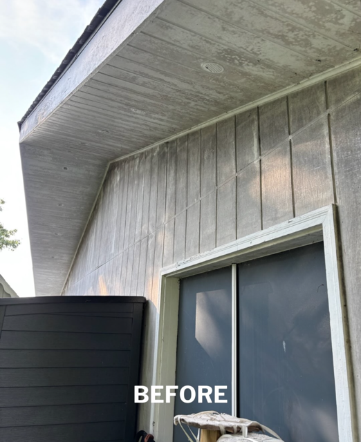 Siding and soffit before cleaning